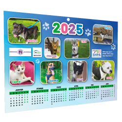 Calendrier A4 ● cartonné ● recto|verso