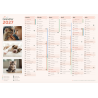Calendrier A4 ● thème animaux ● cartonné ● recto|verso